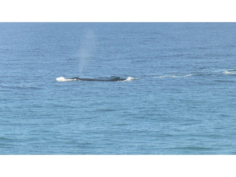 Unit 9/10 Tweed Coast Road, Hastings Point NSW 2489