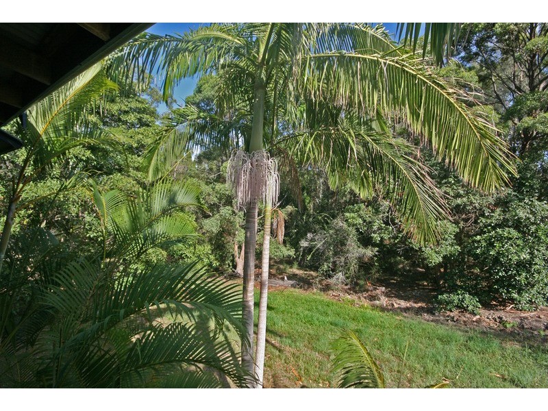 33 Sassafras Street, Pottsville NSW 2489