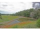 Lot 202 & Lot 205 Pottsville Road, Pottsville NSW 2489