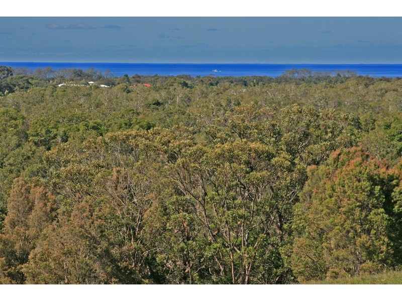 1032 Pottsville Road, Pottsville NSW 2489