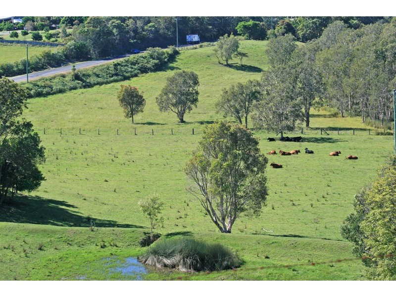 1032 Pottsville Road, Pottsville NSW 2489