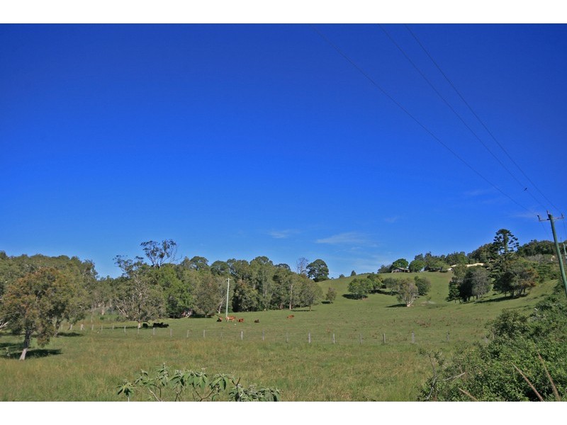 1032 Pottsville Road, Pottsville NSW 2489