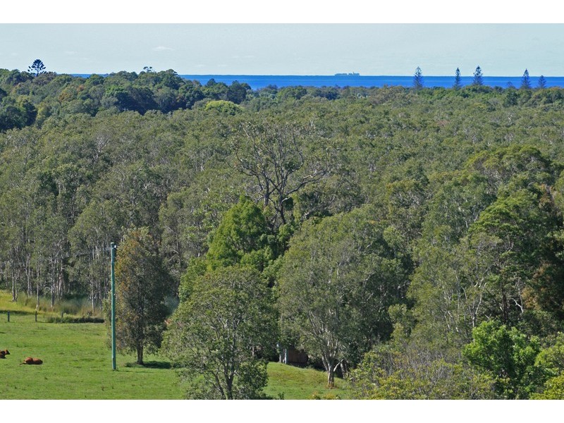 1032 Pottsville Road, Pottsville NSW 2489