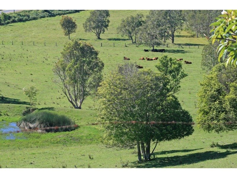 1032 Pottsville Road, Pottsville NSW 2489