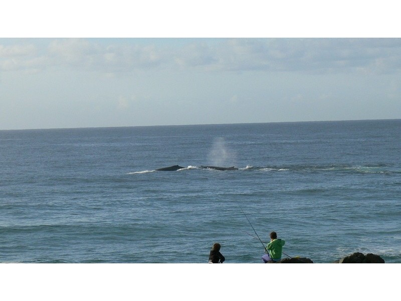 7/10 Tweed Coast Road, Hastings Point NSW 2489