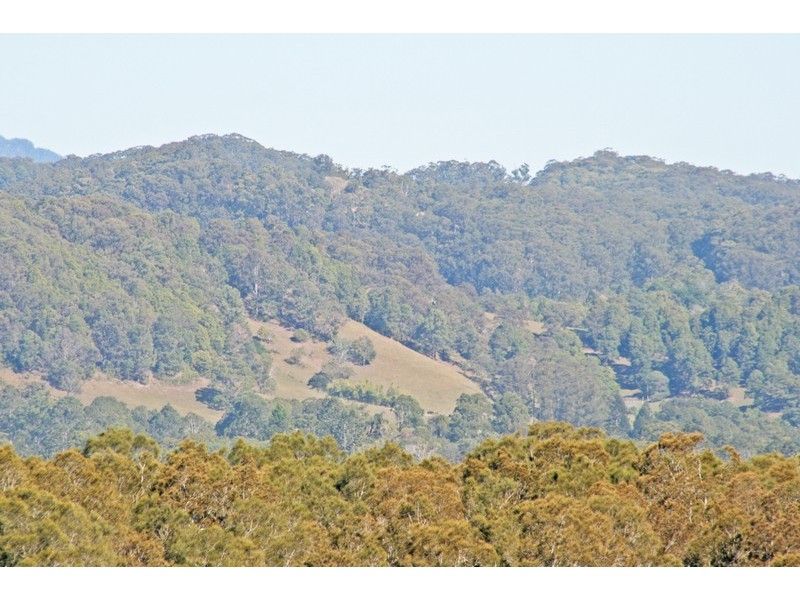 Lot 613 # 35 Lomandra Avenue, Pottsville NSW 2489