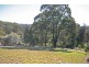 Lot 613 # 35 Lomandra Avenue, Pottsville NSW 2489