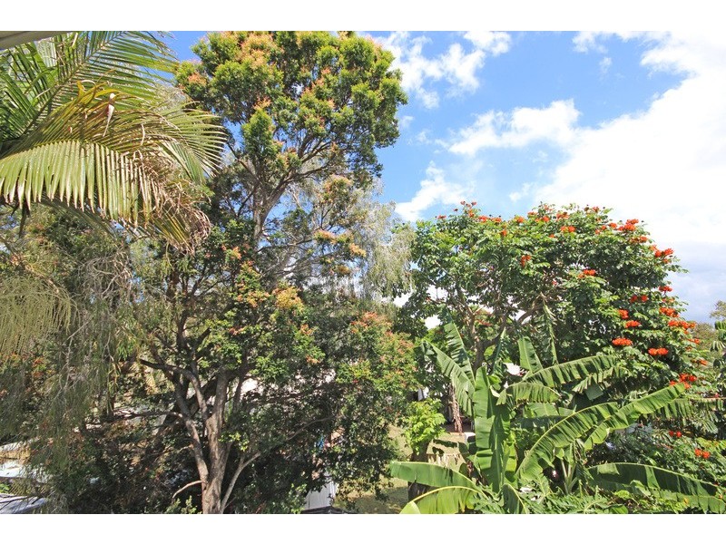 1/22 Mimosa Avenue, Cabarita Beach NSW 2488