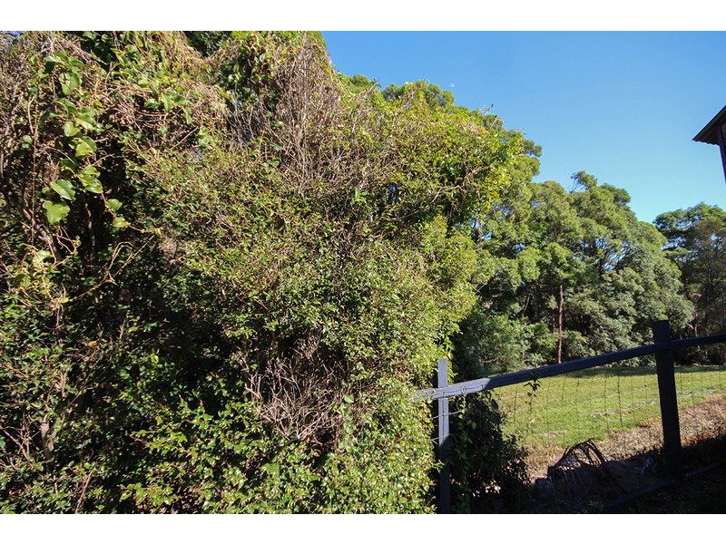 25 Sassafras Street, Pottsville NSW 2489