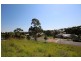 Lot 304 # 45 Sassafras Street, Pottsville NSW 2489