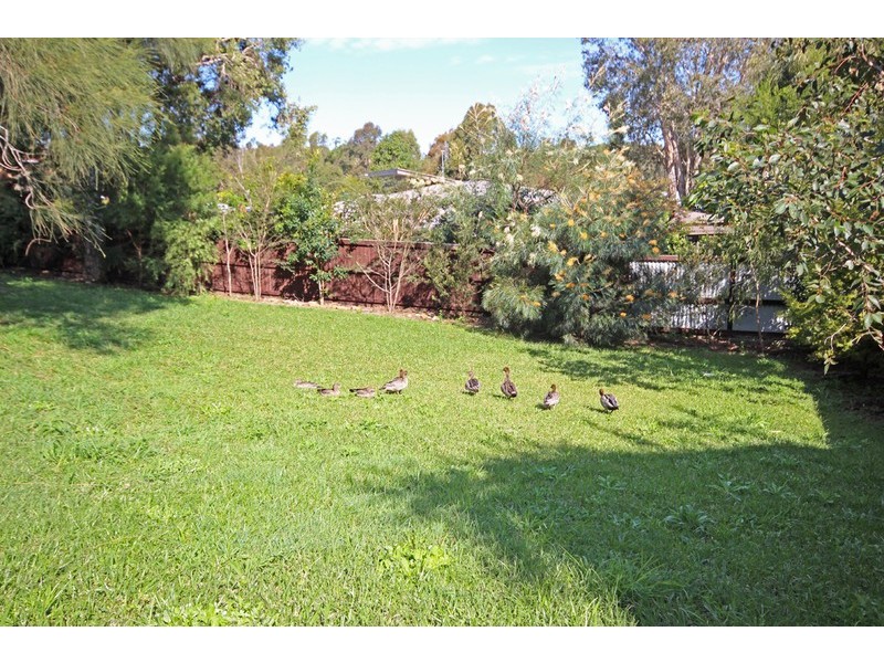 11 Hovea Drive, Pottsville NSW 2489