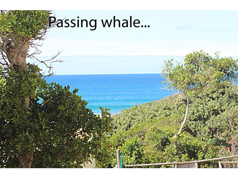 4/10 Tweed Coast Road, Hastings Point NSW 2489