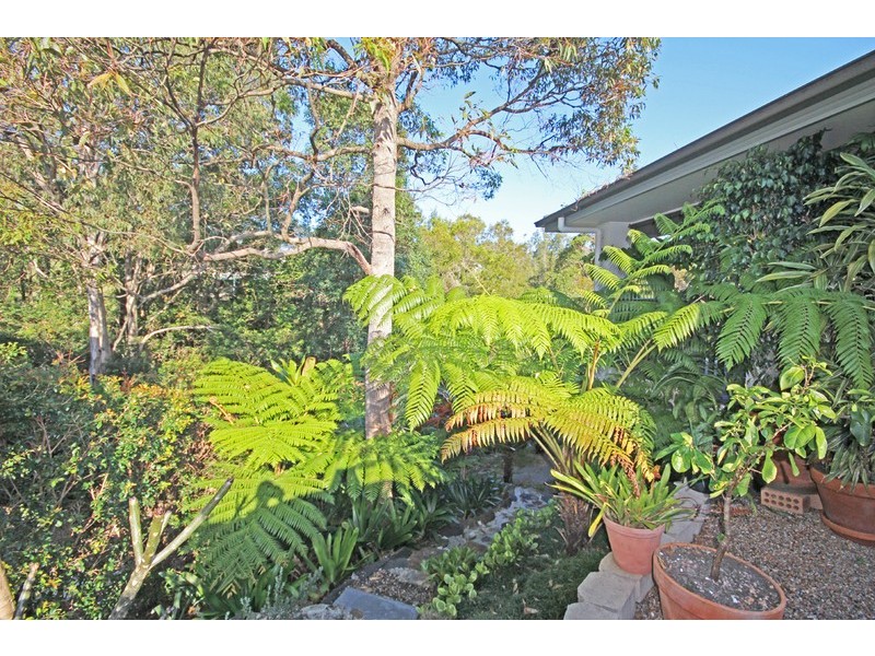 12 Marsupial Drive, Pottsville NSW 2489