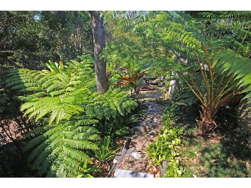 12 Marsupial Drive, Pottsville NSW 2489