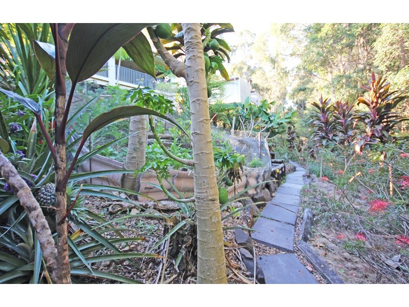 12 Marsupial Drive, Pottsville NSW 2489