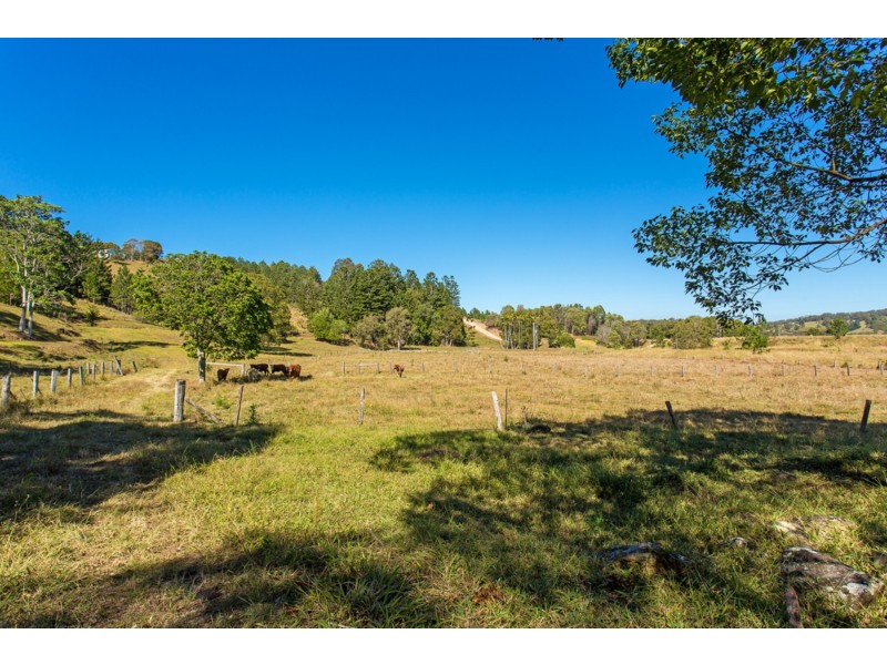 166 Duranbah Road, Duranbah NSW 2487