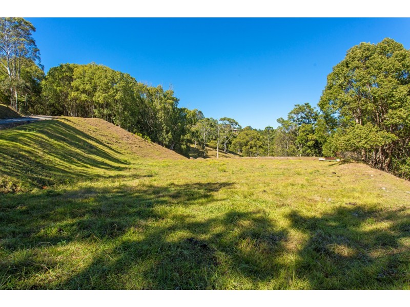 166 Duranbah Road, Duranbah NSW 2487