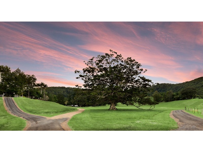 657 Cudgera Creek Road, Cudgera Creek NSW 2484