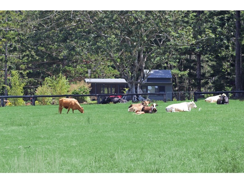 657 Cudgera Creek Road, Cudgera Creek NSW 2484