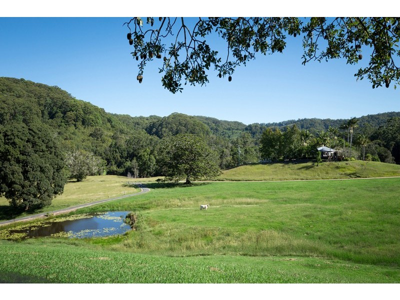 657 Cudgera Creek Road, Cudgera Creek NSW 2484