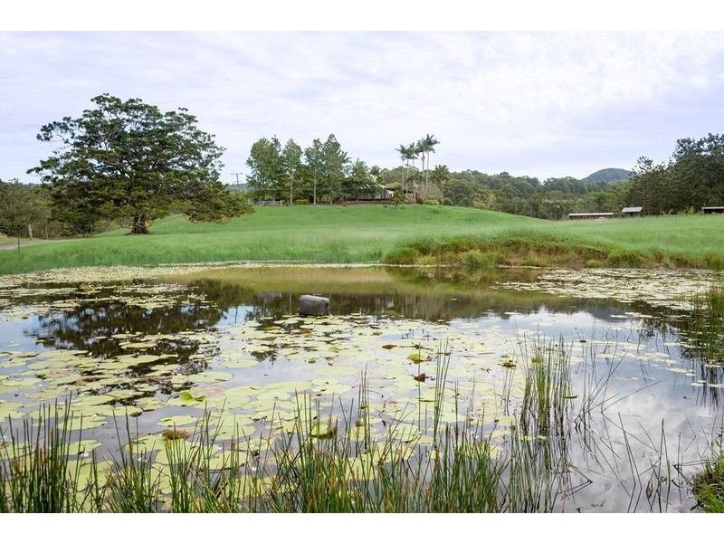 657 Cudgera Creek Road, Cudgera Creek NSW 2484