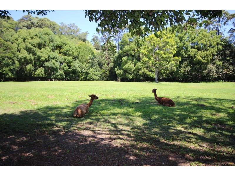 852 Cudgera Creek Road, Cudgera Creek NSW 2484