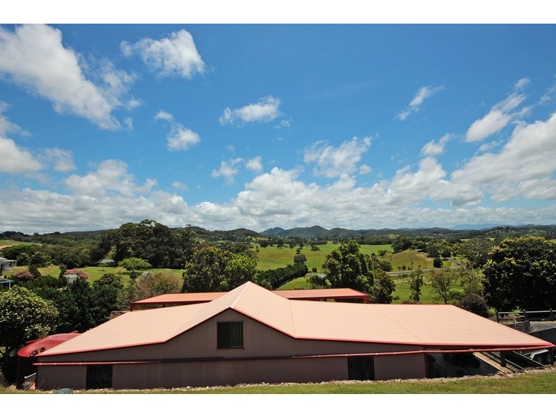 56 Hazelwood Drive, Pottsville NSW 2489