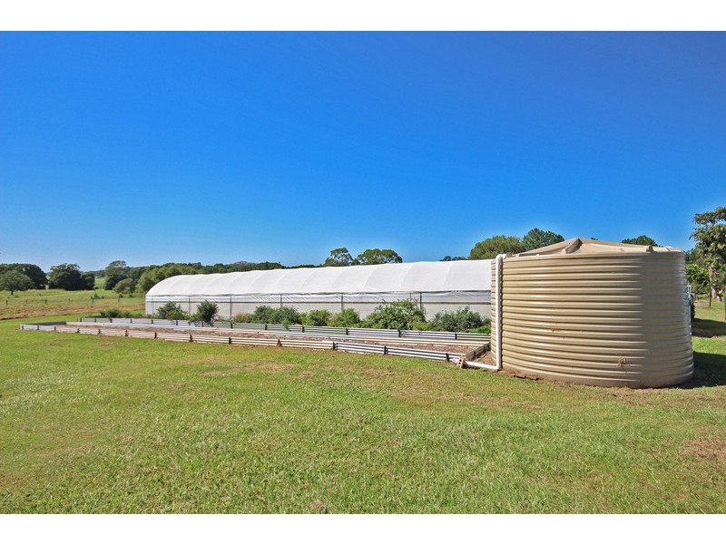 606 Pottsville Road, Sleepy Hollow NSW 2483