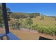304 Pottsville Road, Sleepy Hollow NSW 2483