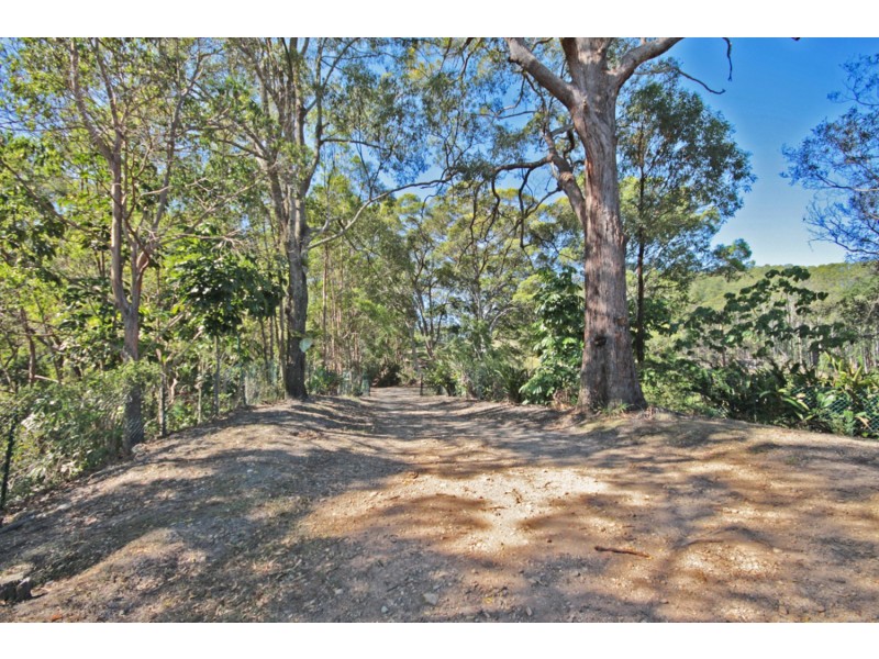 304 Pottsville Road, Sleepy Hollow NSW 2483