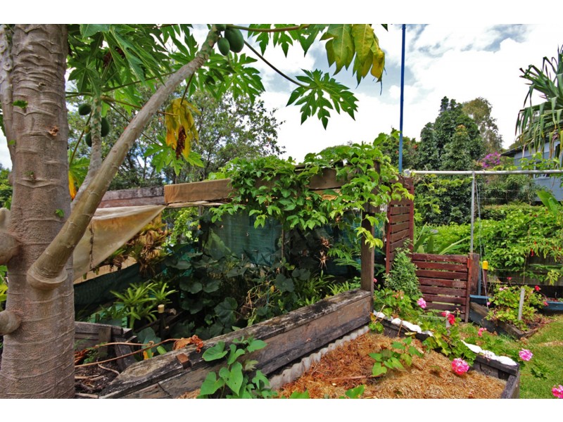 4 Bottlebrush Drive, Pottsville NSW 2489