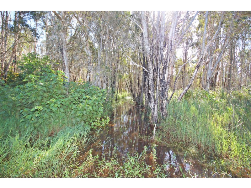 16  Border Crescent, Pottsville NSW 2489