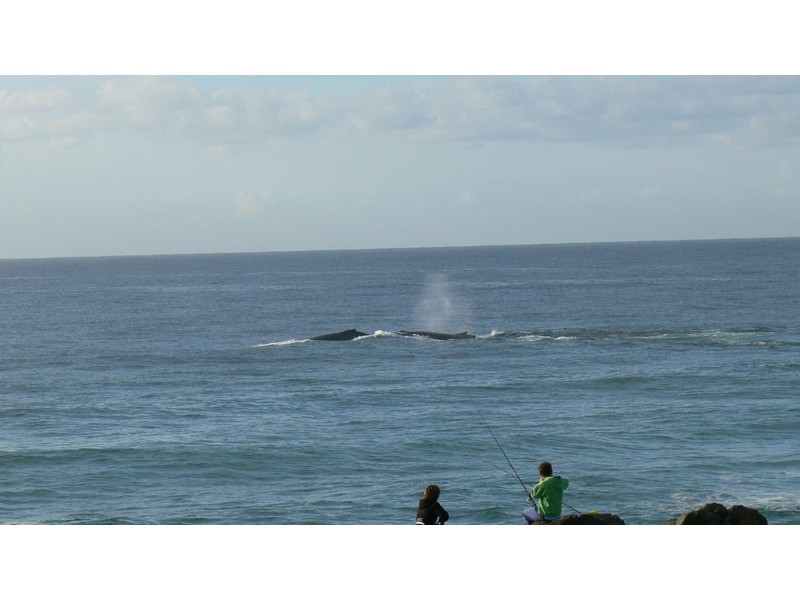 9 Tweed Coast Road, Hastings Point NSW 2489