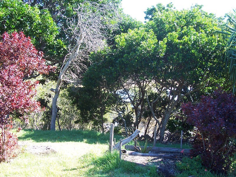 2/55 Coast Road, Hastings Point NSW 2489