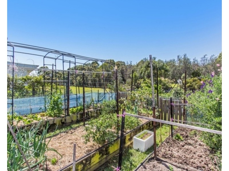 2 Melia Close, Pottsville NSW 2489