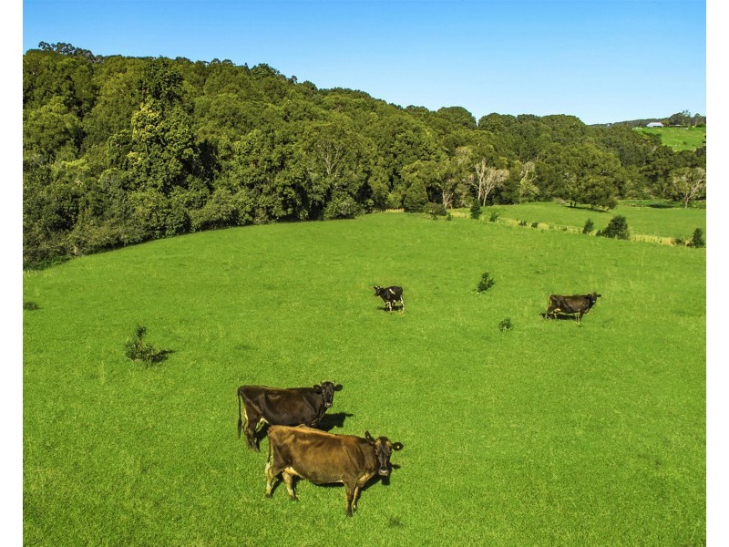 105  Keys Road, Coorabell NSW 2479