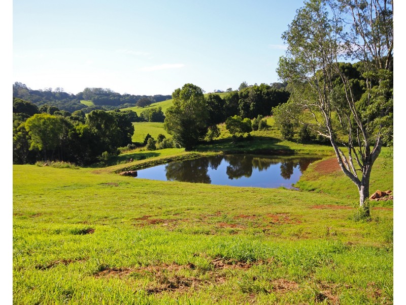 105  Keys Road, Coorabell NSW 2479