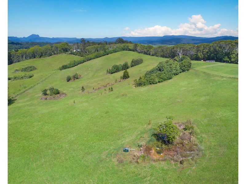 63  Duranbah Road, Duranbah NSW 2487