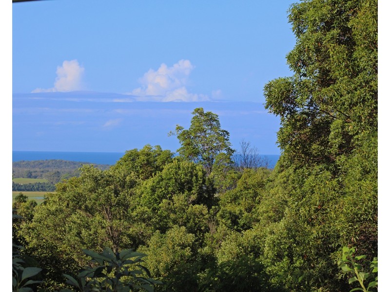 330 Pottsville Road, Sleepy Hollow NSW 2483