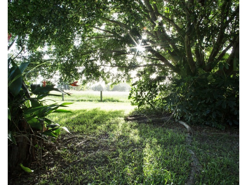 10 Hazelwood Drive, Pottsville NSW 2489