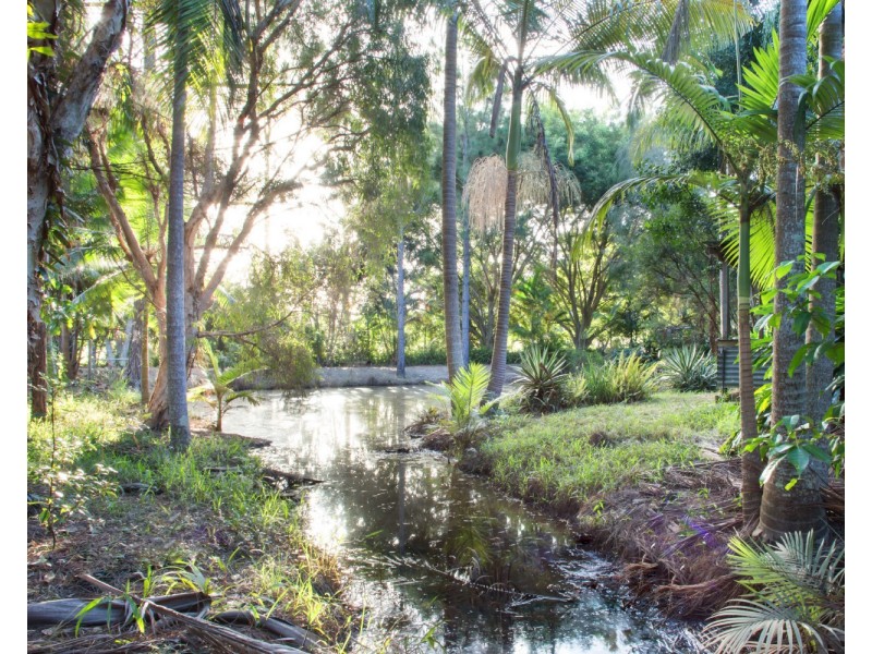 10 Hazelwood Drive, Pottsville NSW 2489