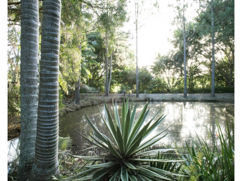 10 Hazelwood Drive, Pottsville NSW 2489