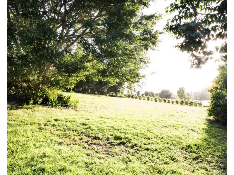 10 Hazelwood Drive, Pottsville NSW 2489