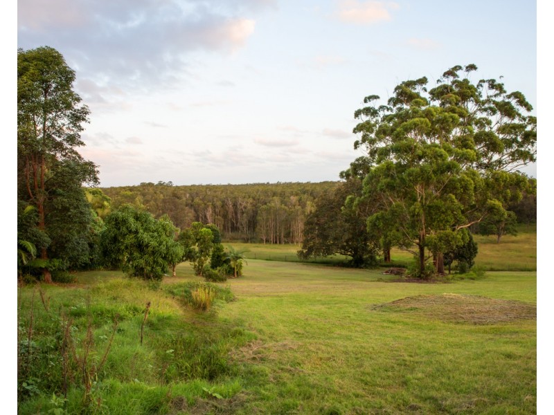 10 Hazelwood Drive, Pottsville NSW 2489