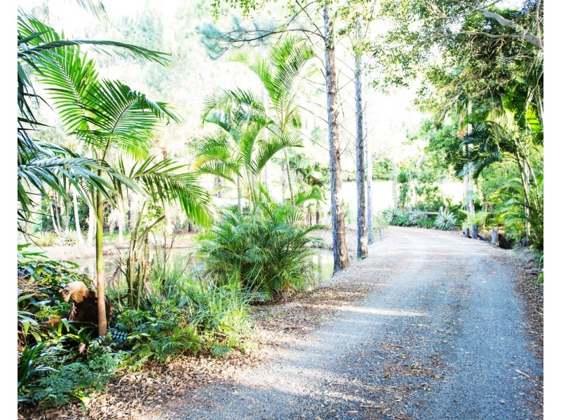 10 Hazelwood Drive, Pottsville NSW 2489