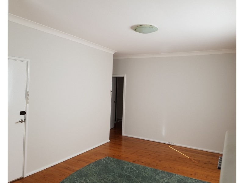 Rear 135 Belmore Road North, Riverwood NSW 2210