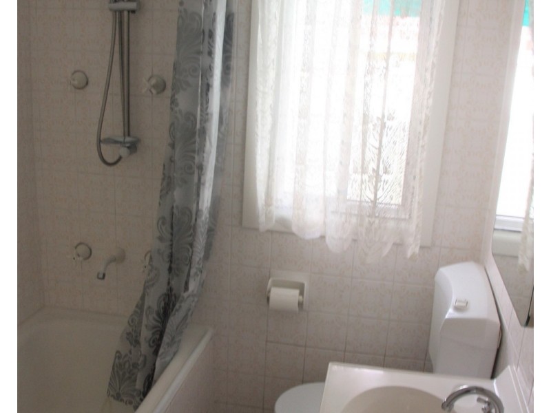 65 Rosemont Street, Punchbowl NSW 2196