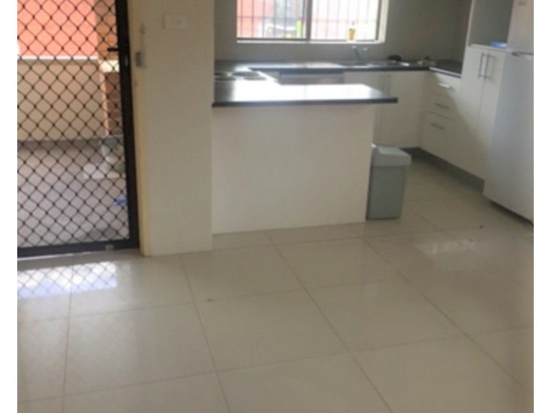 19 Wonga Street, Canterbury NSW 2193