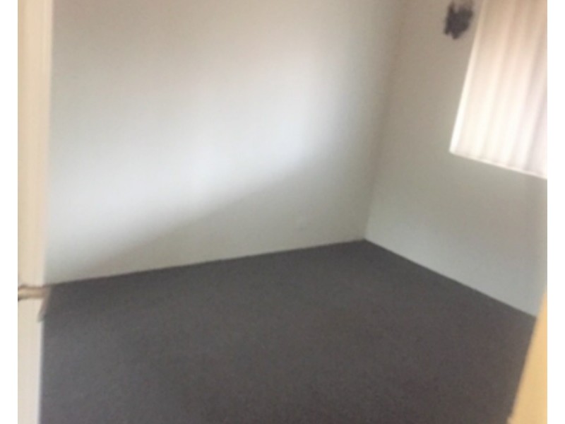 19 Wonga Street, Canterbury NSW 2193