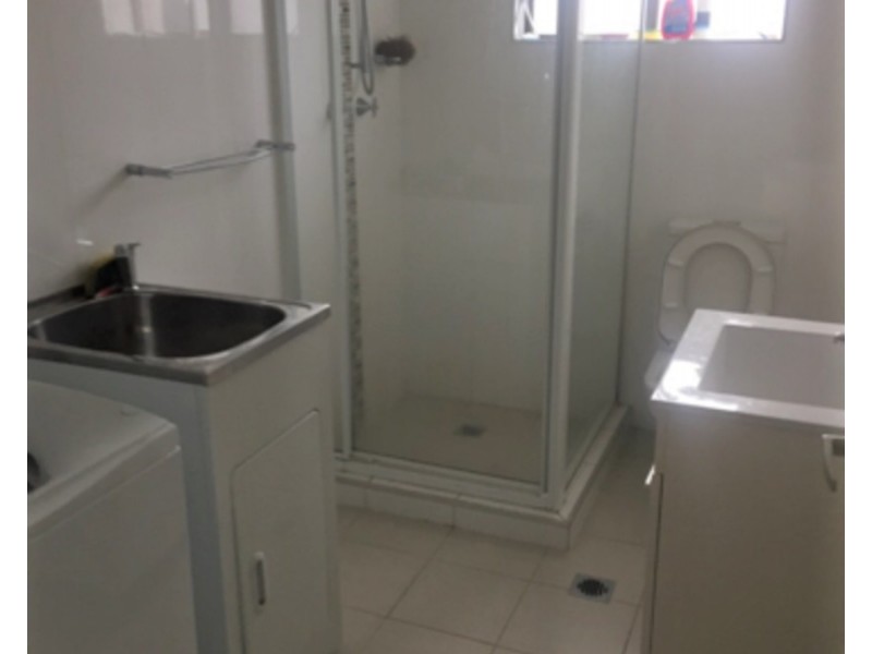 19 Wonga Street, Canterbury NSW 2193